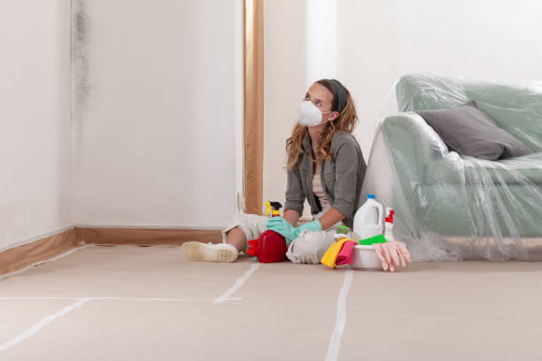 Reliable Mold Remediation contractor in Riverdale, IL by Mold Remediation HQ